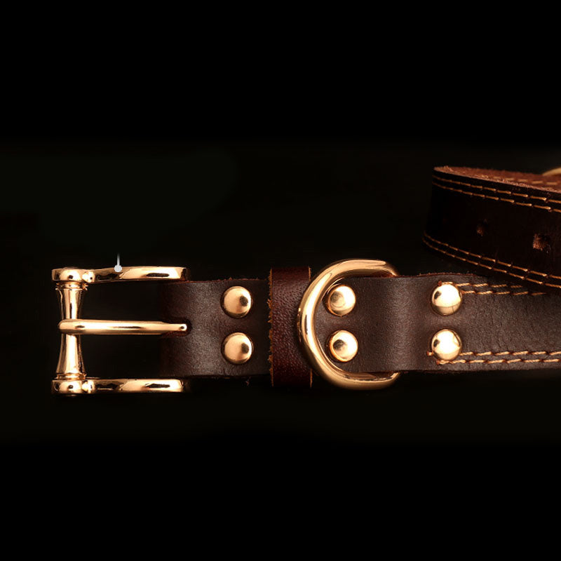 CustomLeather - Voor Stijlvolle Huisdieren